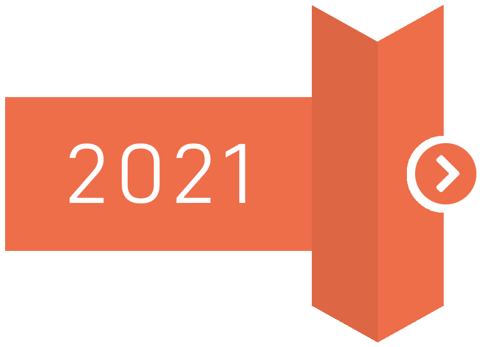 Icone pour l'année 2021